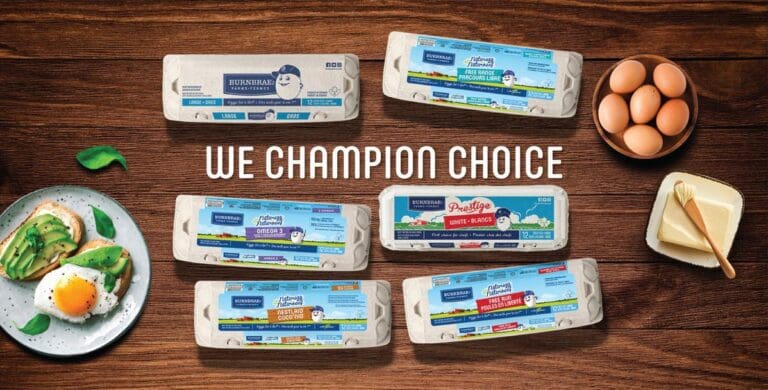 Top angle shot of six carton of eggs, a plate of avocado toast and butter with the line, 'We champion choice'